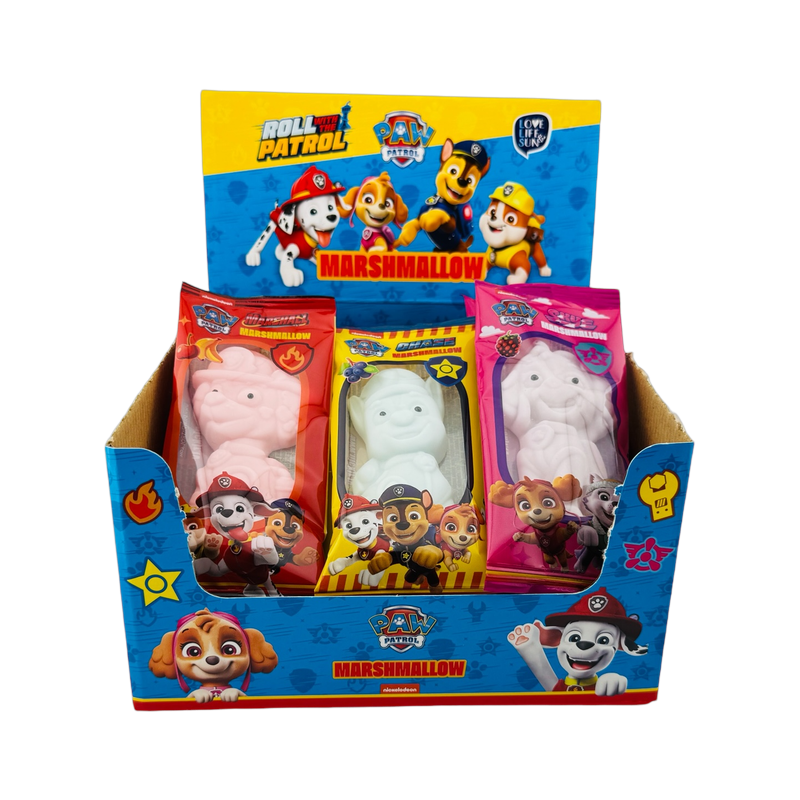 Paw Patrol Box