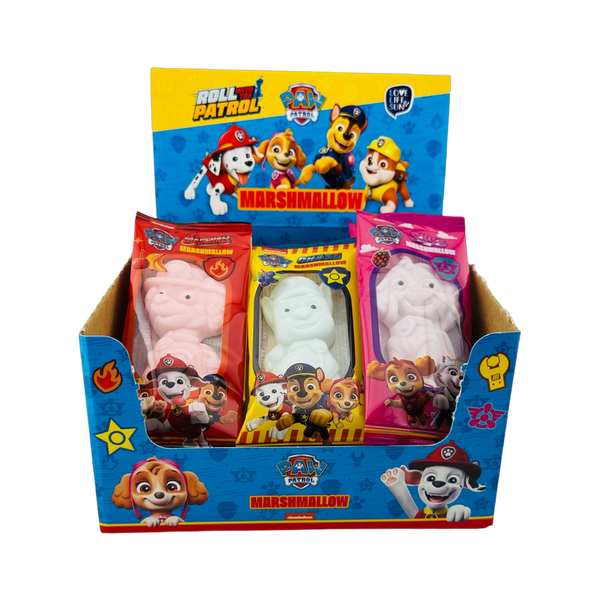 Paw Patrol Box
