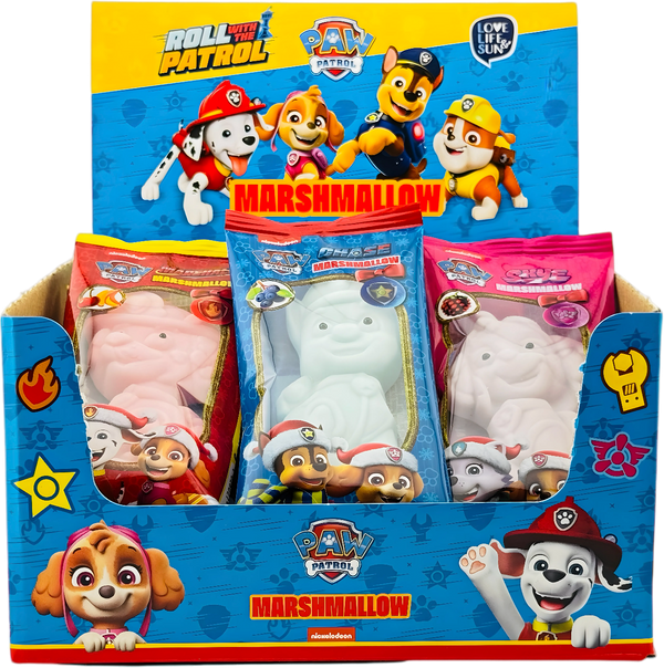 Paw Patrol X-Mas Box