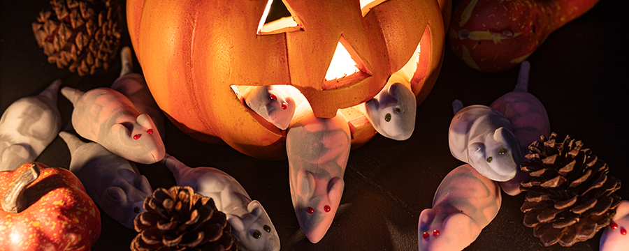 Spooky, Spooky